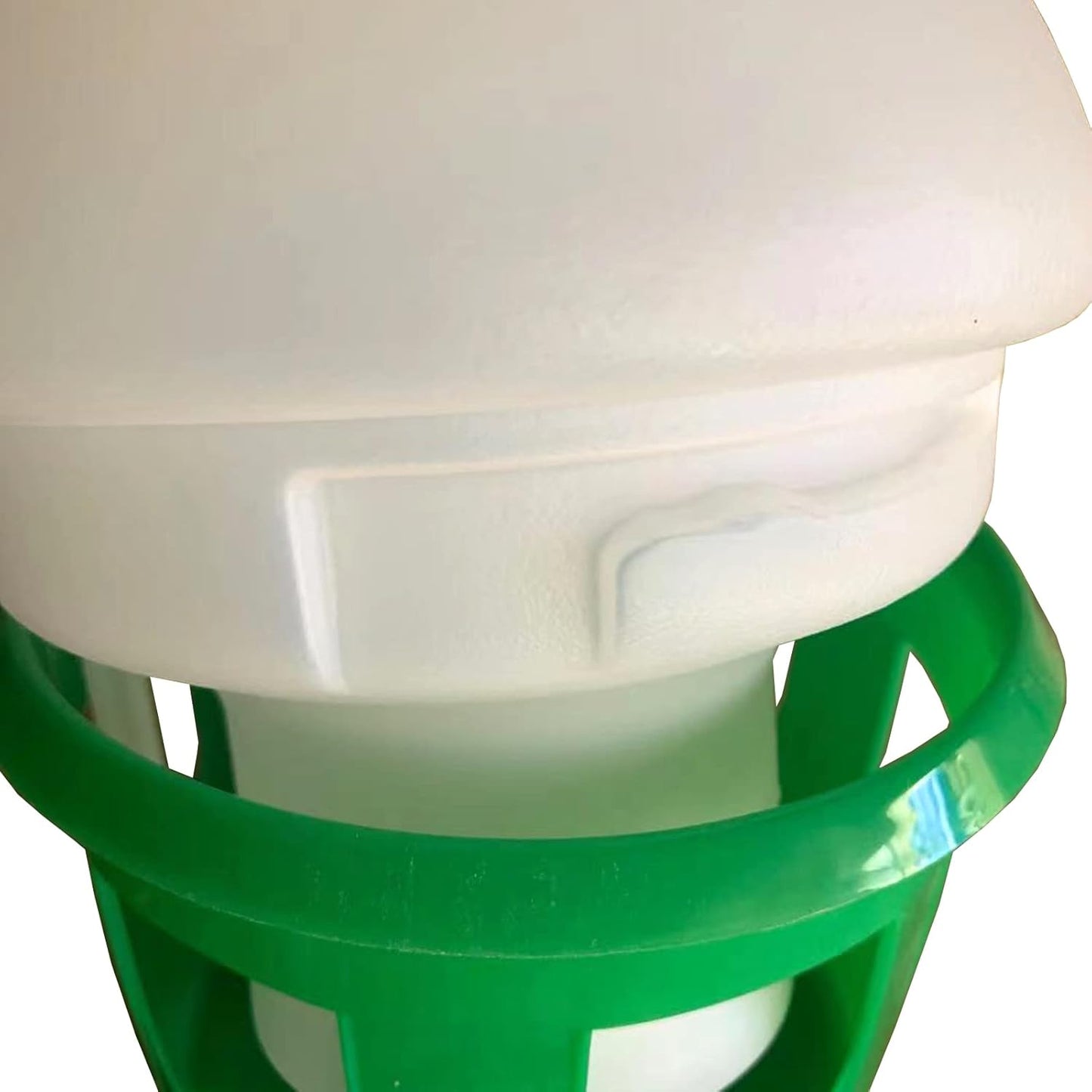 Pigeon Water Dispenser Drinker Bird Water Drinker Automatic Feeders Water Dispenser Dove Drinker Chicken Duck Quail (1.5L)