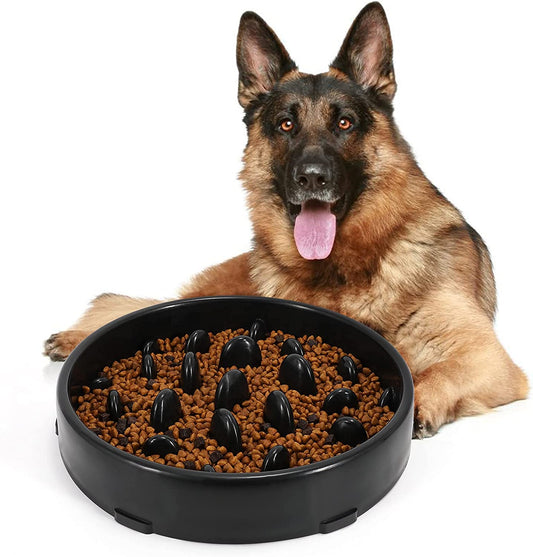 Slow Dog Bowl for Large Dogs - Fun Anti-Gulping Feeder to Stop Bloat - Big Pet Bowl for Slow Eating