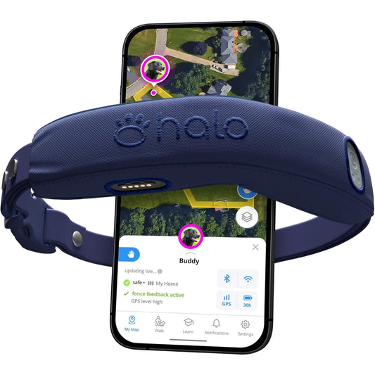 Collar 4, All New GPS Wireless Dog Fence & Training Collar with Real-Time Tracking, Waterproof, One Size (4 Colors)