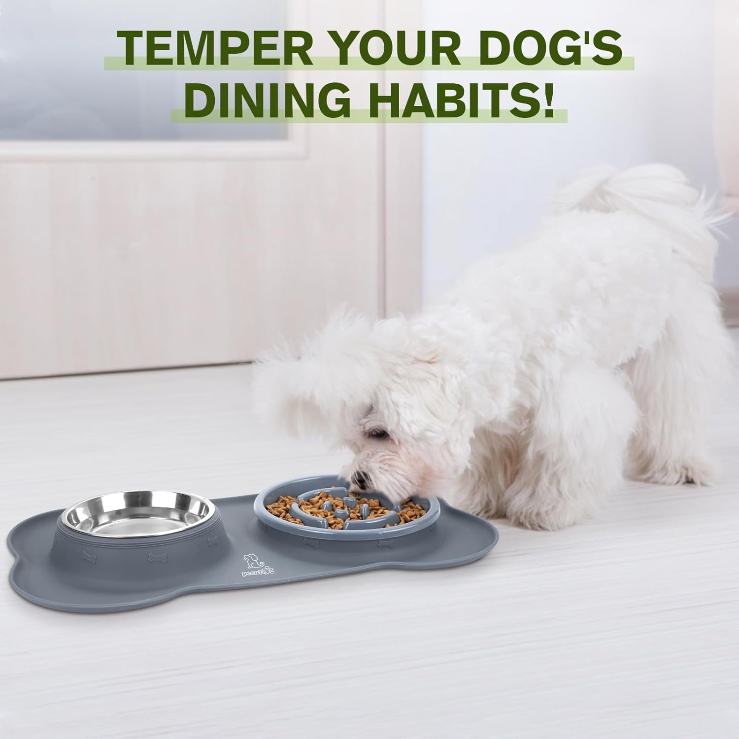 Slow Feeder Dog Bowls to Slow down Eating, Dog Bowl Slow Feeder with No-Spill Non-Skid Silicone Mat, Food-Grade Safe Dog Food Bowls Slow Feeder, Stainless Steel Dog Water Bowl for Dogs Cats